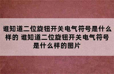 谁知道二位旋钮开关电气符号是什么样的 谁知道二位旋钮开关电气符号是什么样的图片